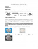 PRÁCTICA DENSIDAD O PESO DEL LODO