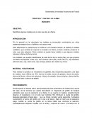 Informe cientifico español