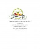 Green life desarrollo de negocios