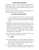 El arbol de nuestra identidad