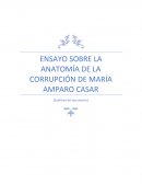 ENSAYO ANATOMIA DE LA CORRUPCION EN MEXICO