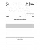 BITACORA DE TRABAJO CON LOS PADRES DE FAMILIA