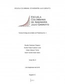 Tercera Entrega de la Matriz de Problemas