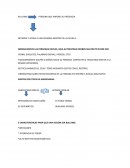 INTIMIDA Y ACOSA A UNA PERSONA DENTRO DE LA ESCUELA.