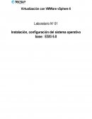 Virtualización con VMWare vSphere 6