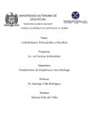 Carbohidratos: Polisacáridos y Glucólisis