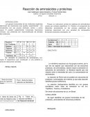 Reacción de aminoácidos y proteínas