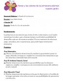 Las flores y los colores de la primavera adornan nuestro jardín.