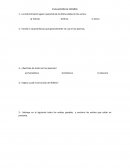 EVALUACION DE ESPAÑOL