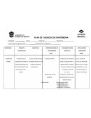 PLAN DE CUIDADOS DE ENFERMERIA DE MEMBRANA