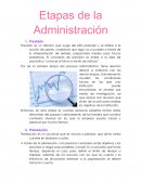 Etapas de la Administración ensayo
