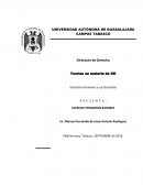 Derechos Humanos y sus Garantías