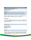 Guia segmentos del piston