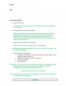 Informe marketing digital