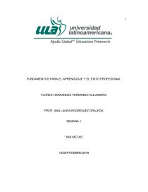 FUNDAMENTOS PARA EL APRENDIZAJE Y EL ÉXITO PROFESIONAL. Página 1