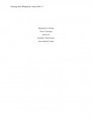 Bilinguismo en Florida