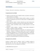 Trabajo: Cálculo de estándares urbanísticos