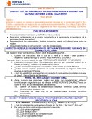 Don gaetano - Guia de pautas - investigacion de mercados