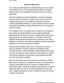 Niño loco motocross