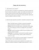 Descripción de las etapas del ciclo economico