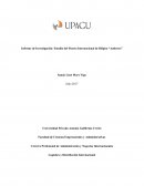 Informe de Investigación: Estudio del Puerto Internacional de Bélgica “Amberes”