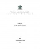 Diagnóstico riesgos ergonómicos y psicosociales