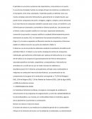 Análisis de octanaje