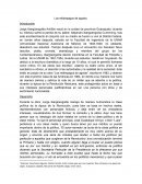 Los relámpagos de agosto.