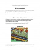 Conclusion y Instalaciones sanitarias, funciones.