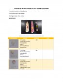 HERENCIA DEL COLOR DE LOS GRANOS DE MAÍZ