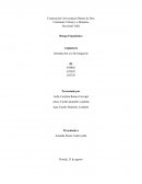 Informe Escrito Uniminuto Virtual y a Distancia