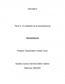 Tema 2 - El ambiente de la mercadotecnia