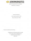 ENSAYO LOS CÓDIGOS CULTURALES.