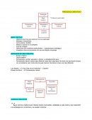 Proceso Creativo BRIEF CRETIVO