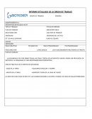 DESCRIPCION DETALLADA: DE OT