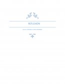 Mystery Eggz - REFLEXION