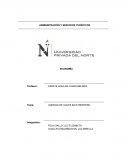 Universidad continental