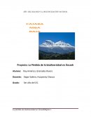 Proyecto: La Pérdida de la biodiversidad en Áncash