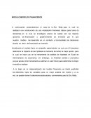 Modelación financiera