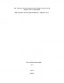 IMPLEMENTACIÓN DE MODELOS DE COMERCIALIZACIÓN DE PRODUCTOS Y/O SERVICIOS