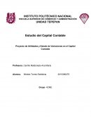 Proyecto de Utilidades y Estado de Variaciones en el Capital Contable