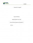 Tipos de almacenes en la logística: Funciones, ubicación y tratamiento fiscal