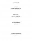 ANALISIS DE LAS DIFERENTES ENTREVISTAS PSICOLOGICAS FORENSE