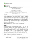 Monografía familia Hemodoraceae