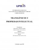 Propiedad Intelectual y Alimentos Transgénicos