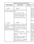 Spot Motivacional - Producción Audiovisual - Unsa 2018