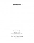 Auditoria Interna de Calidad - NTC ISO 9001