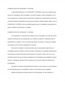 COMPONENTES DE COMANDO Y CONTROL