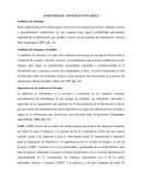 AUDITORIA DE SISTEMAS CONTABLES