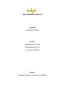 CASO 1. El modelo PriceSmart aterriza en la capital